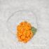 Mini-Sophia-Headband_151.jpg
