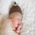 Autumn-Acorn_309.jpg