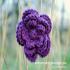Chloe-Flower-Clip-Set_207.jpg
