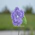 Lindsey-Flower-Clip_276.jpg