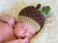 Autumn Acorn