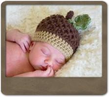 Autumn Acorn